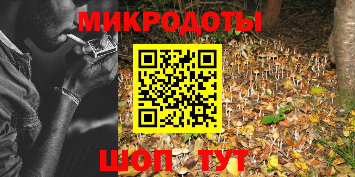 Псилоцибиновые грибы прущие грибы Минеральные Воды